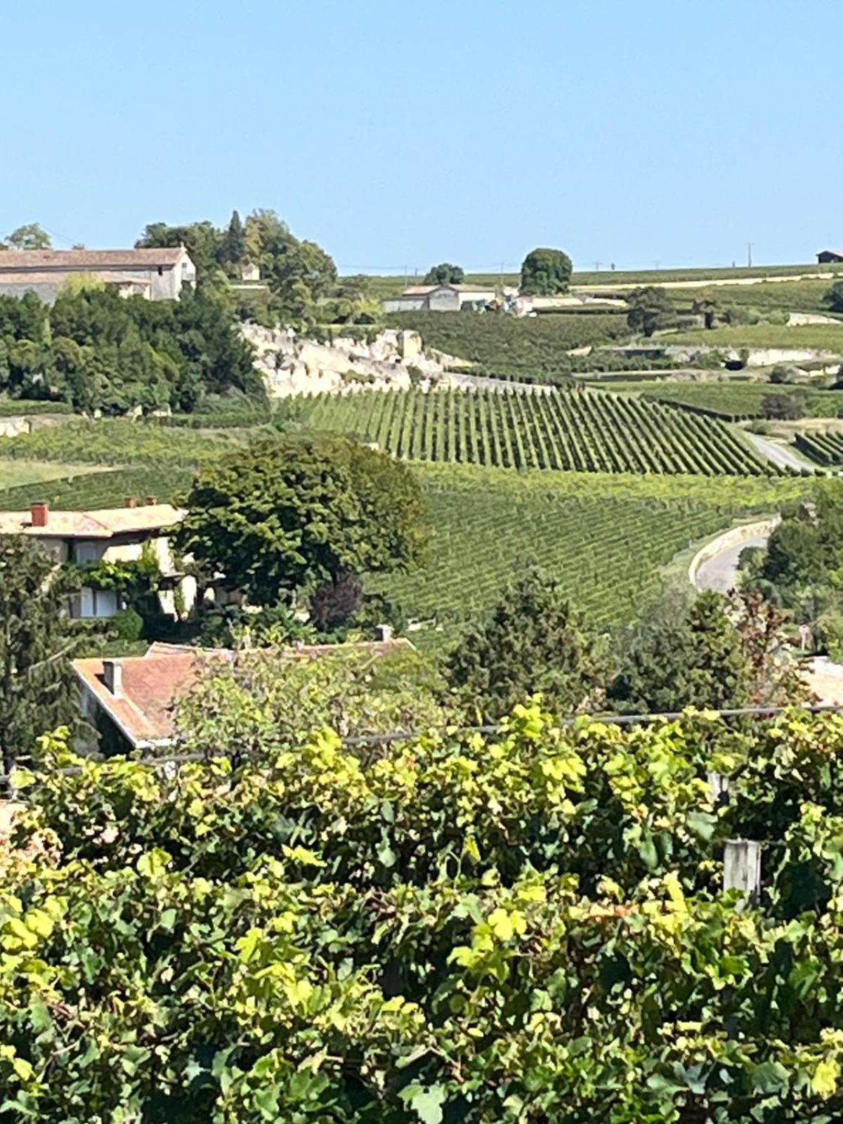 Les Logis Des Vignobles Saint Emilion En Duplex N 2 Avec Terrasse Lägenhet Exteriör bild